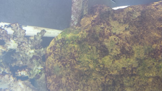 20160406_184243.jpg