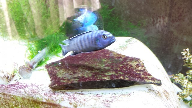20160316_172537.jpg
