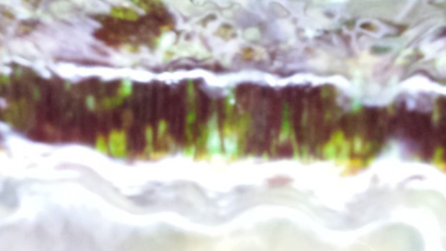 20160407_170208.jpg