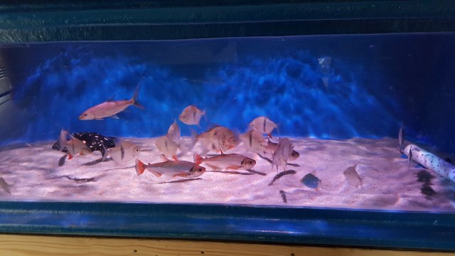 20160408_130456.jpg