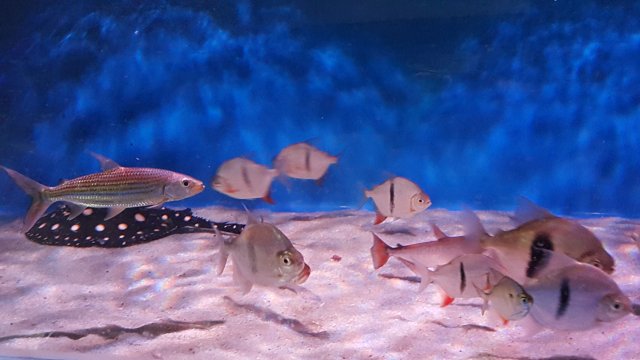 20160408_130505.jpg