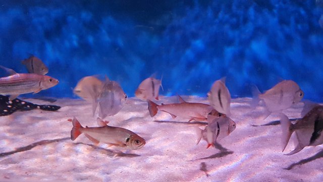 20160408_130507.jpg