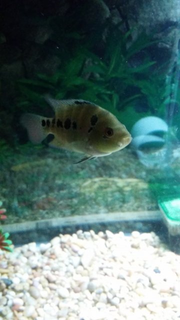 20151120_180251.jpg
