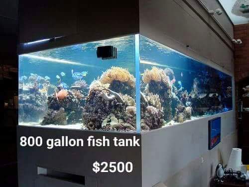 FB_IMG_1459970989007.jpg FB_IMG_1459970989007.jpg