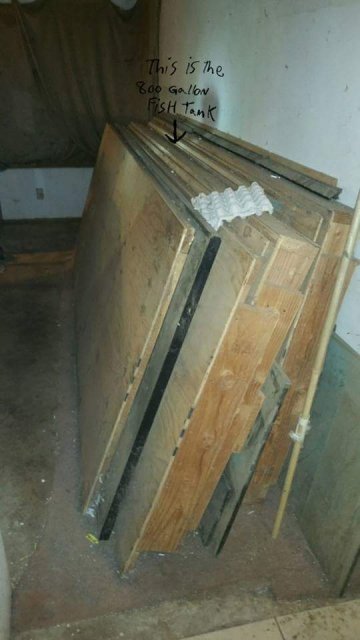 FB_IMG_1459970985193.jpg FB_IMG_1459970985193.jpg