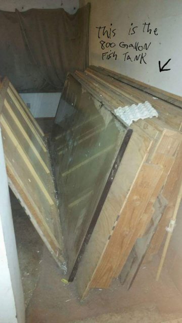 FB_IMG_1459970979437.jpg FB_IMG_1459970979437.jpg