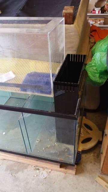 FB_IMG_1459970965096.jpg FB_IMG_1459970965096.jpg