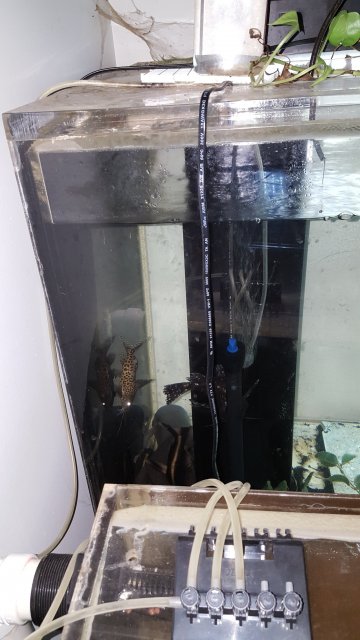 20160408_202550.jpg