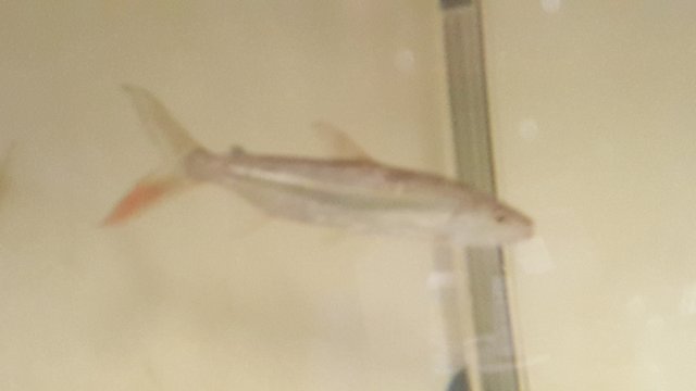 20160409_124007.jpg