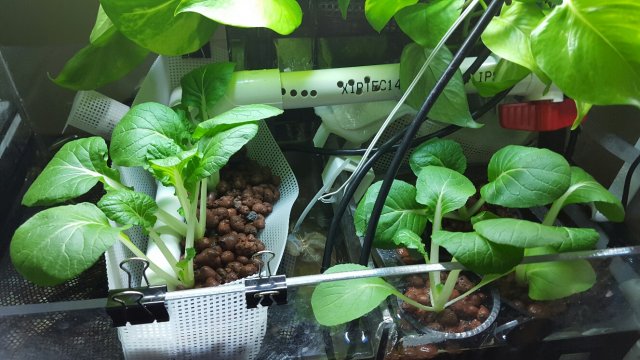 20160410_194043_resized_1.jpg 20160410_194043_resized_1.jpg