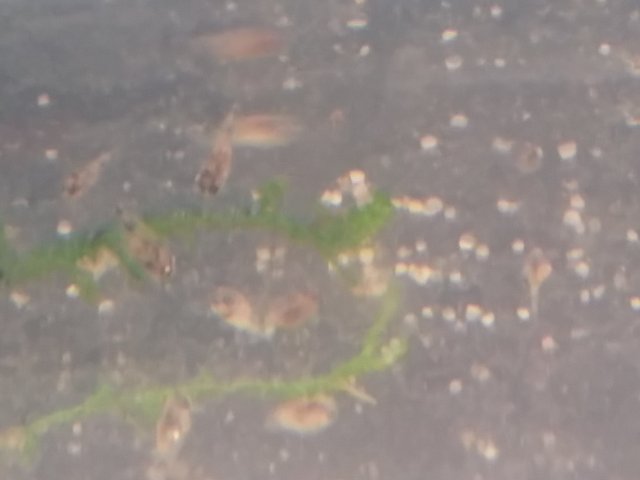 20160411_114057.jpg