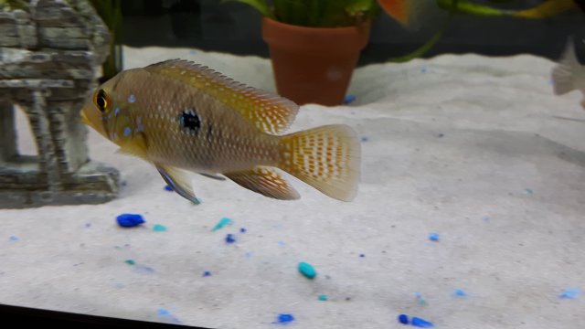 20160409_133635.jpg