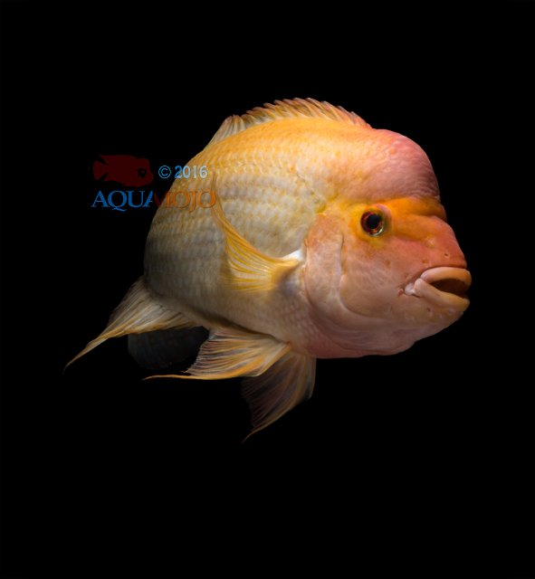 DEV_3574.jpg