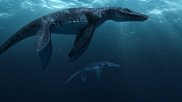 0027_SeaRex_Liopleurodon_web-1.jpg
