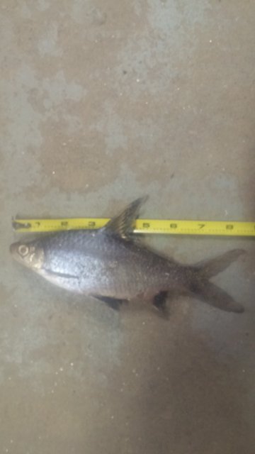 20160413_091516.jpg