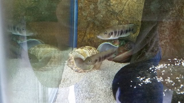 20150407_130749.jpg 20150407_130749.jpg