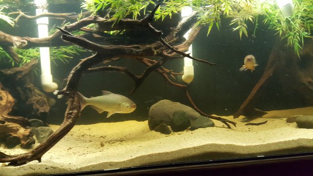 20160418_191538.jpg
