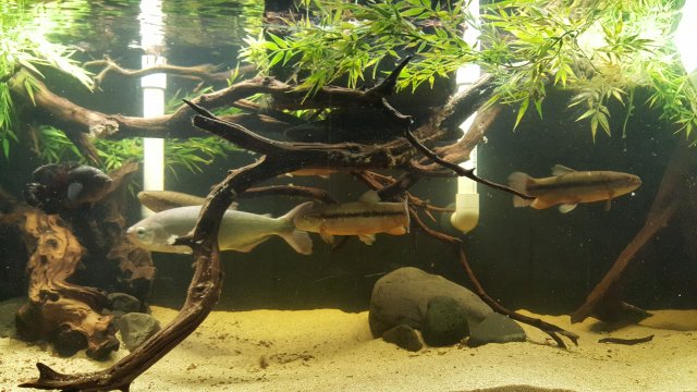 20160418_191530.jpg