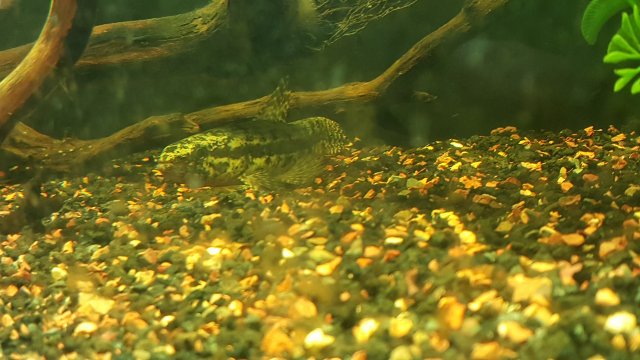 20160418_213052.jpg