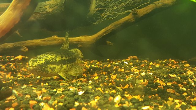 20160418_213039.jpg