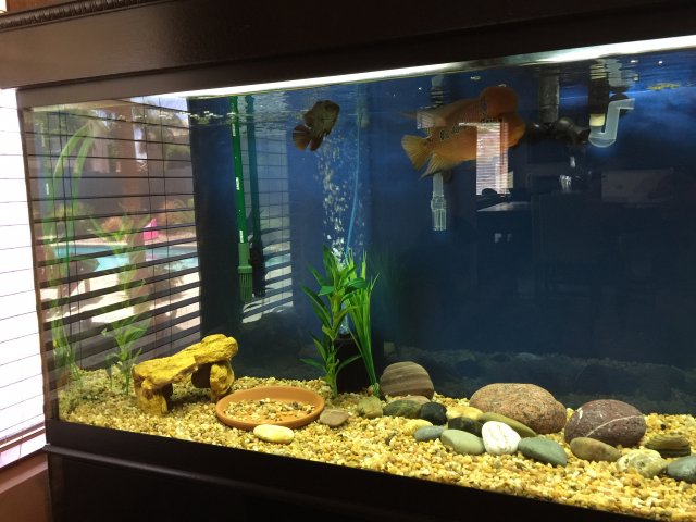 image.jpeg image.jpeg