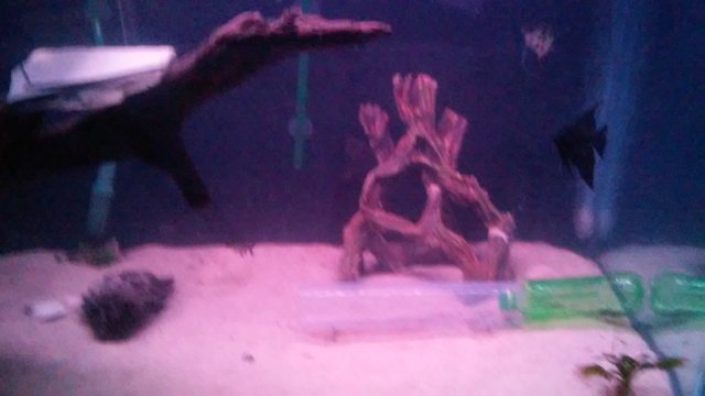 1461119331727.jpg 1461119331727.jpg