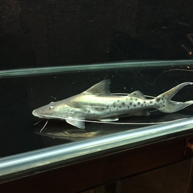 image.jpeg image.jpeg