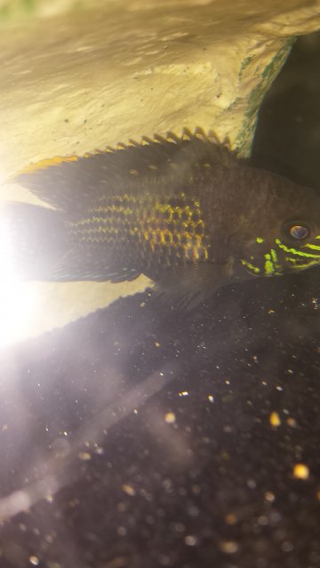 20160420_102514.jpg