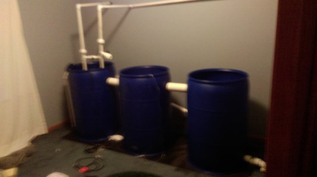 IMAG0522.jpg