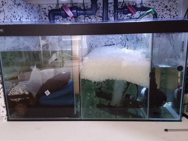 20160421_170014.jpg 20160421_170014.jpg