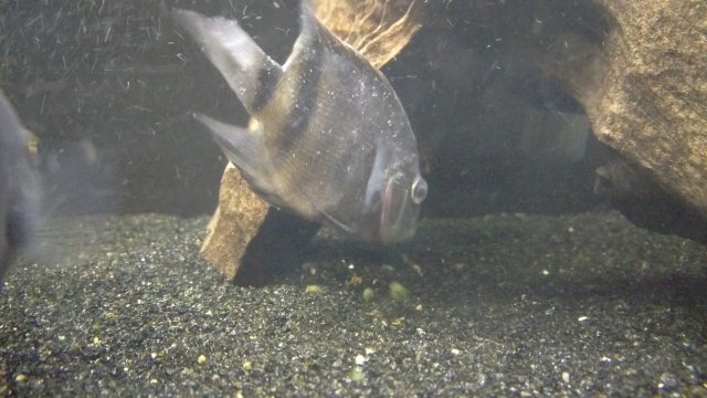 IMAG0799.jpg