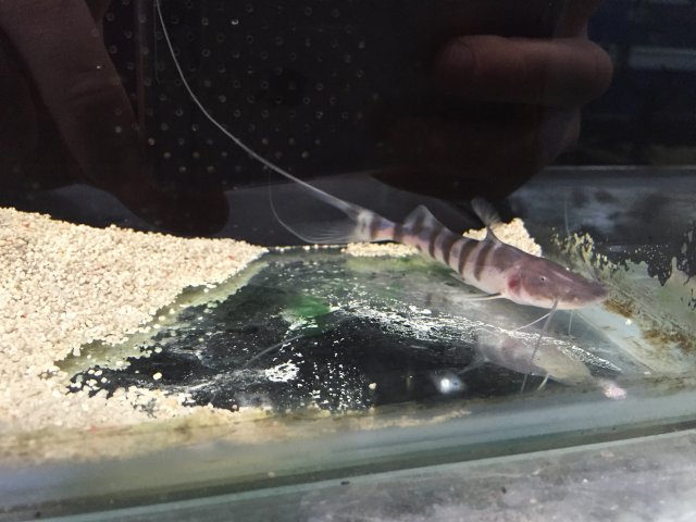 image.jpeg image.jpeg