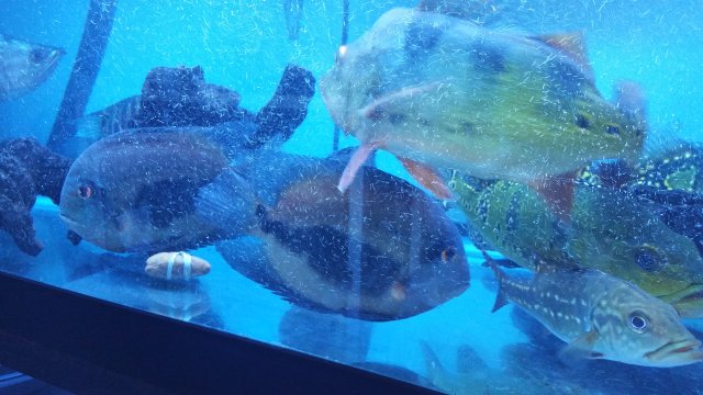 20160425_092550.jpg 20160425_092550.jpg