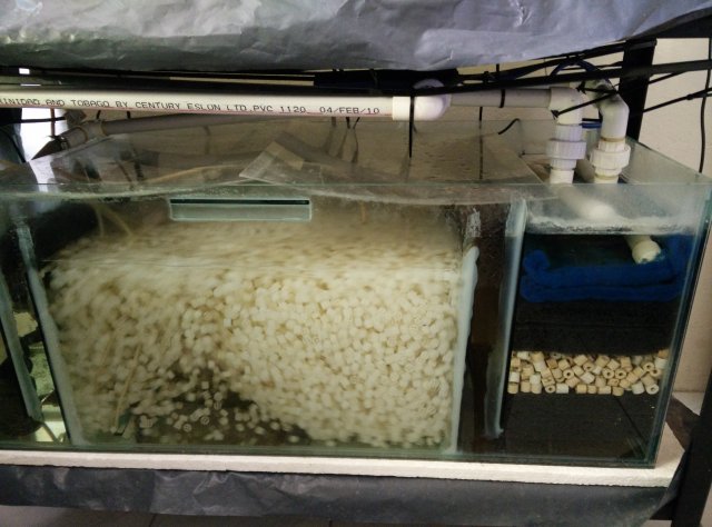 IMG_20160425_102620.jpg IMG_20160425_102620.jpg