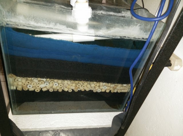 IMG_20160425_103007.jpg IMG_20160425_103007.jpg