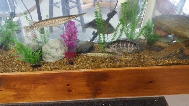 20160426_181105.jpg