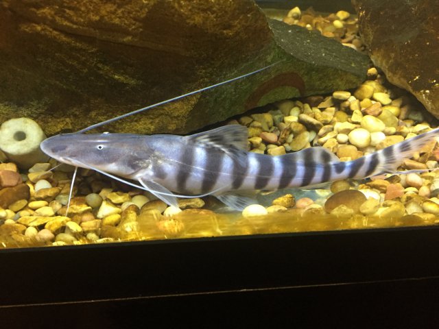 image.jpeg image.jpeg