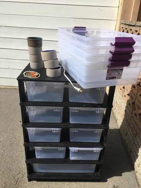 image.jpeg image.jpeg