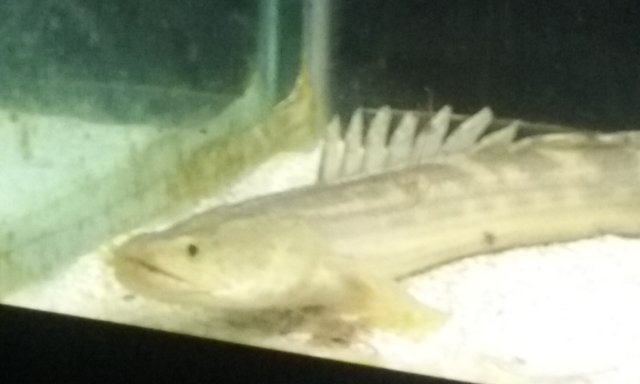 20160427_211558.jpg