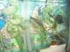 fish 027.jpg
