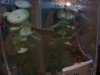 fish 028.jpg
