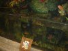 DSC04908.JPG