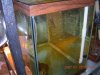 PBEggs2007048.JPG
