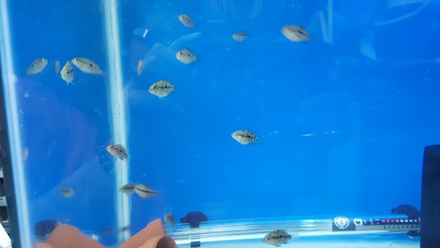 20160411_182213.jpg