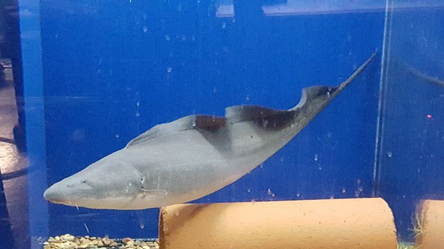 20150820_234707.jpg
