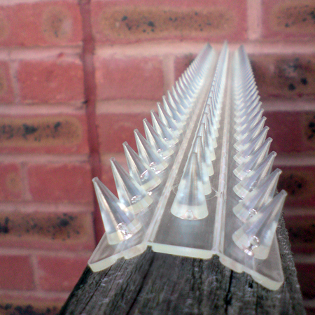 clear-strips.jpg