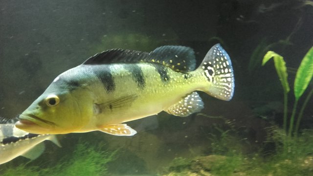 20160421_183939[1].jpg