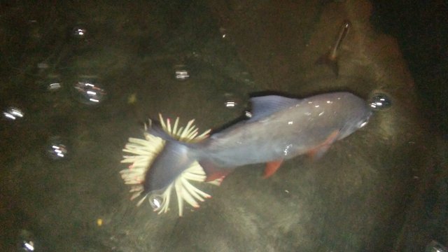 20160501_195729.jpg