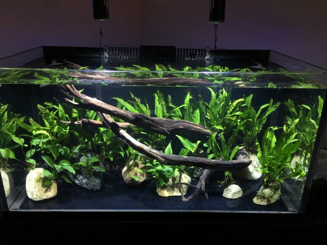 image.jpeg image.jpeg