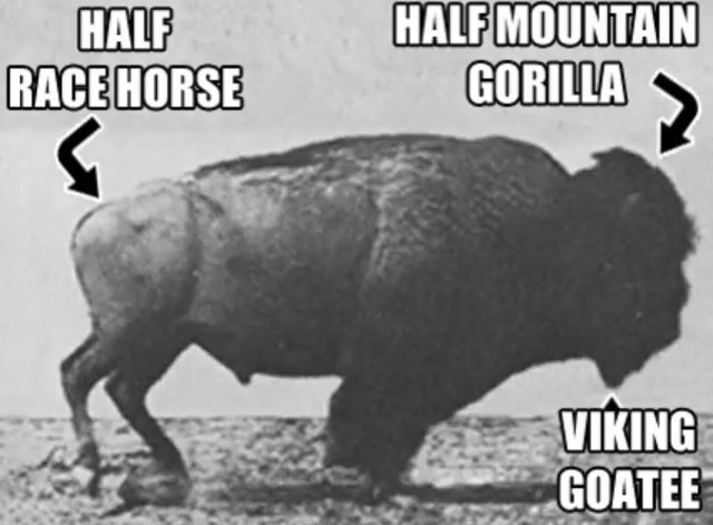 image.jpeg